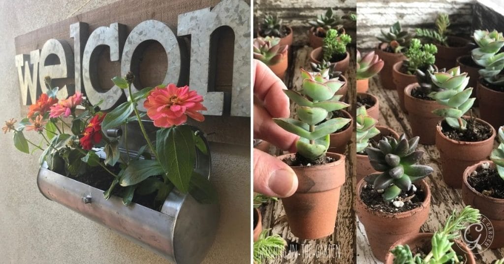 Container Gardening Ideas (2)