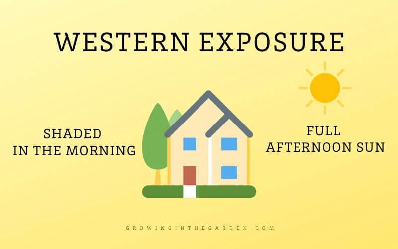 Western Exposure Shade Definition and Diagram
