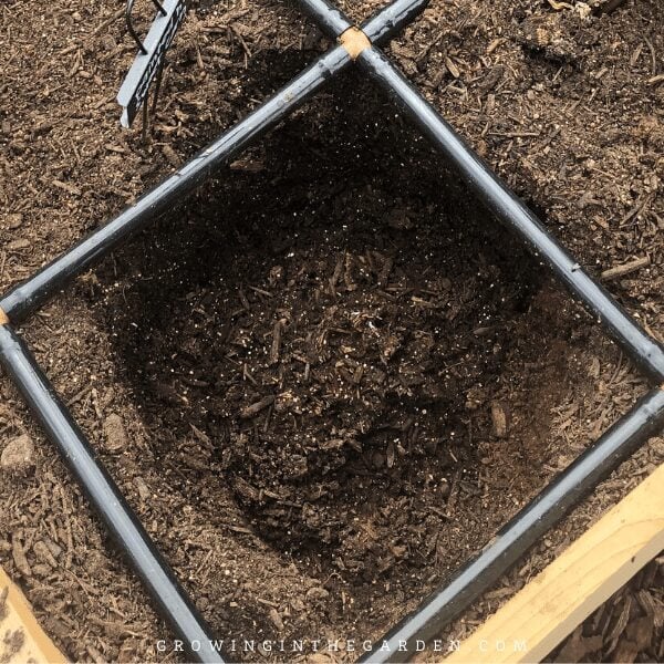 Vermicomposting Made Easy: In-Bed Worm Composting