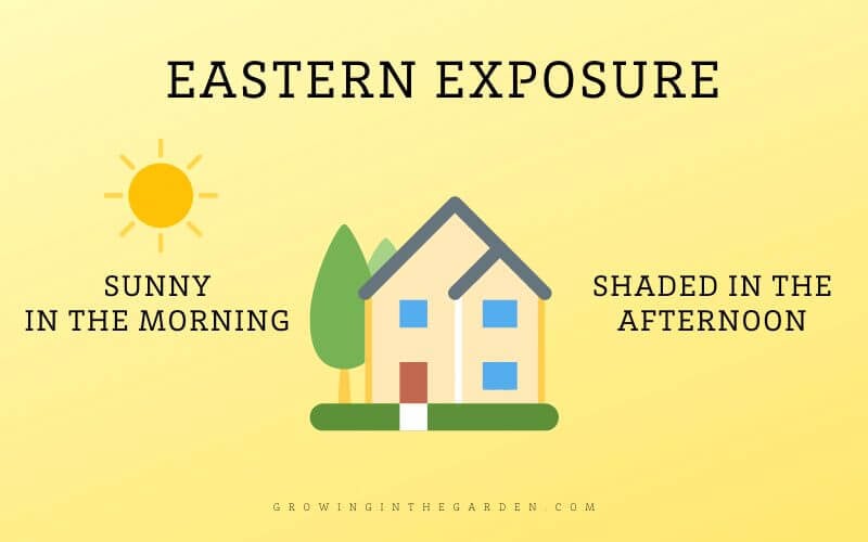 Eastern Exposure Shade Definition and Diagram