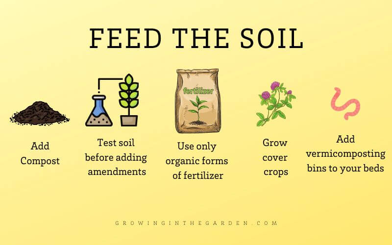 How to be an organic gardener: Focus on feeding the soil, not the plant