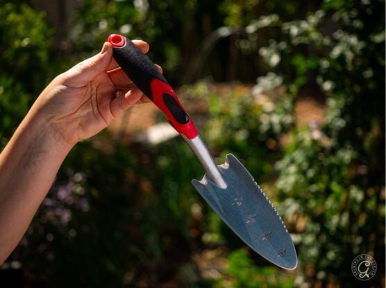 Corona Transplanter featured image