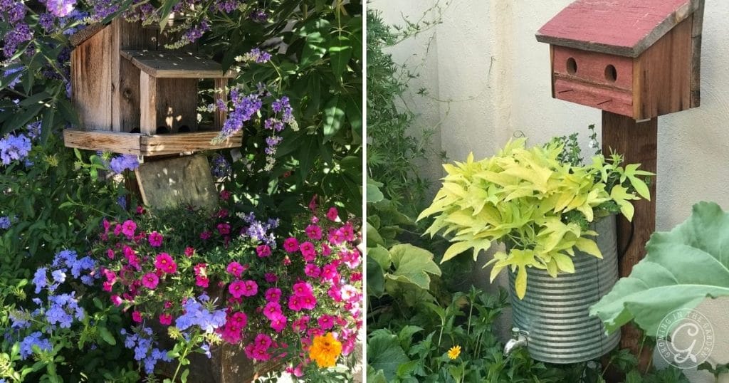 Container Gardening Ideas