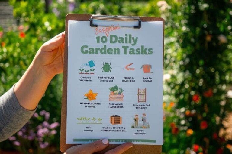 Daily Garden Checklist featured image