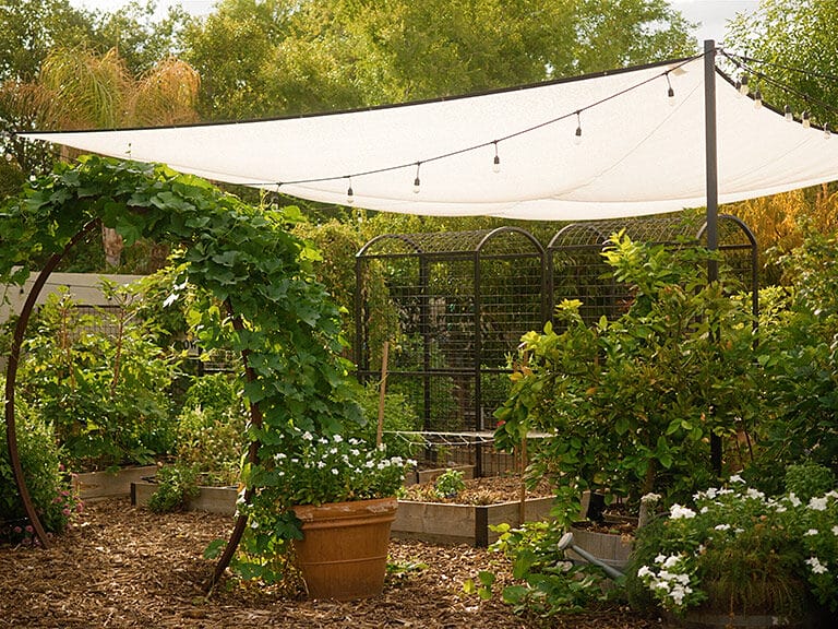 Desert Gardening Tile