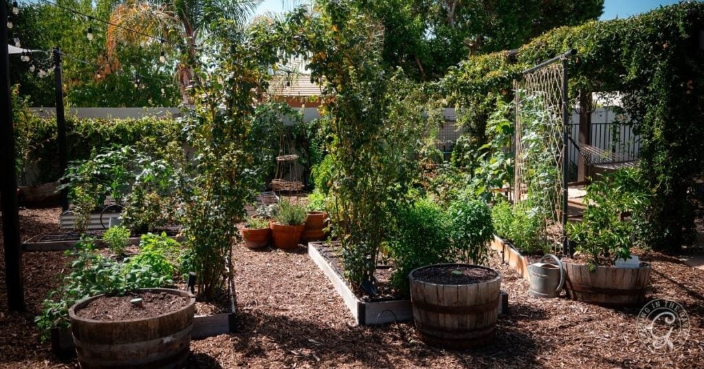 Lush backyard garden with creative raised bed garden design, trellises, potted plants, and a hammock in the shade.