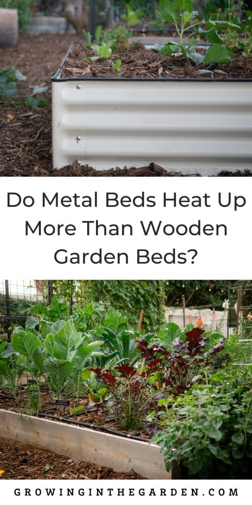 Are metal beds too hot for Arizona? Do Metal Beds Heat Up More Than Wooden Garden Beds?