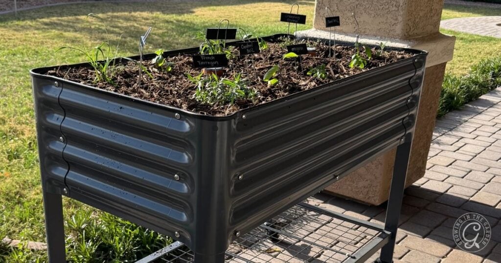 A raised metal elevated garden bed on a patio contains young vegetable plants with labeled markers, ideal for small spaces, set against a grassy yard and a brick pillar.