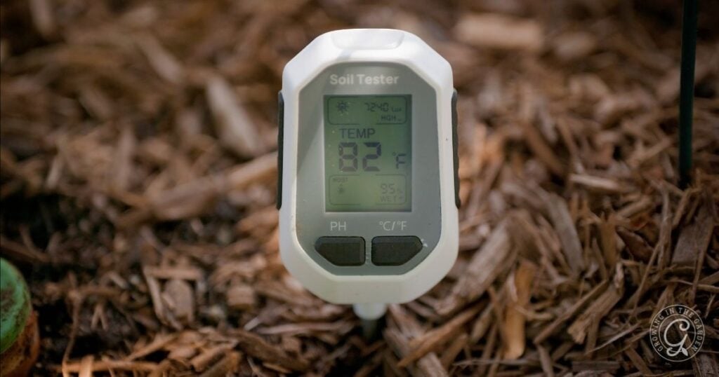 A digital soil tester displaying a temperature of 82°F is inserted into mulch-covered soil in an elevated garden bed, ideal for hot climates.