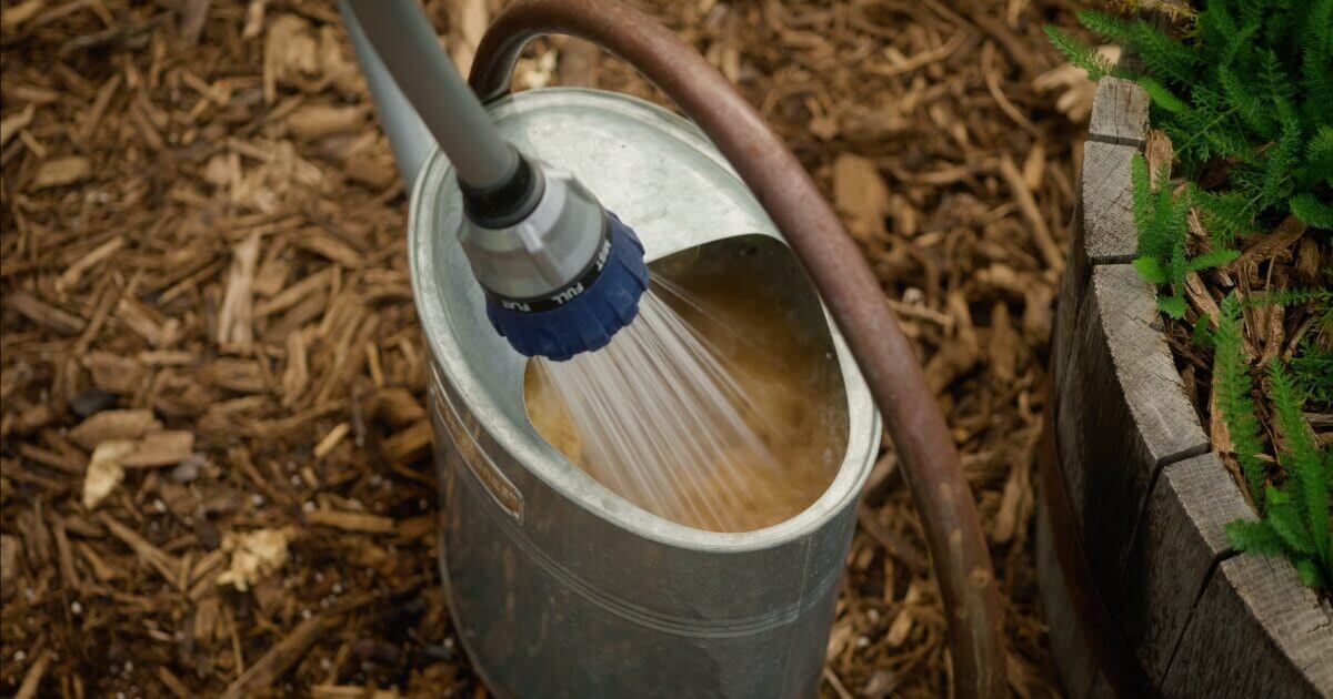 A watering can is being filled with water from a garden hose nozzle, surrounded by brown mulch and the edge of a wooden planter—typical sights in an Arizona Garden in April.