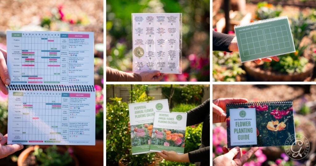 Collage of hands holding flower planting guides, charts, and calendars—including an Arizona bulb planting guide—in a bright garden setting.