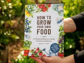 How To Grow Your Own Food Product