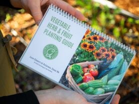 Vegetable, Herb & Fruit Planting Guide Product