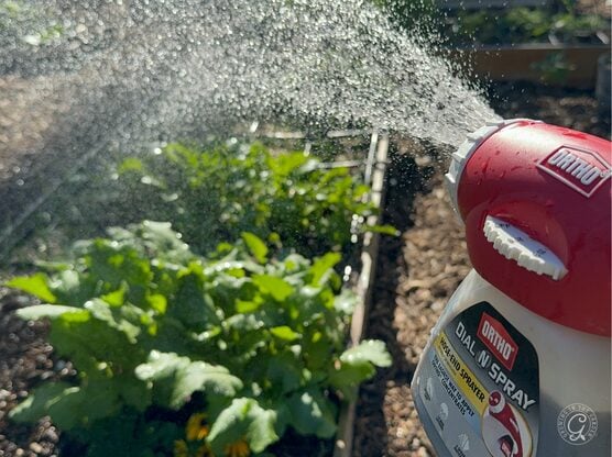 Hose-End Garden Sprayer featured image