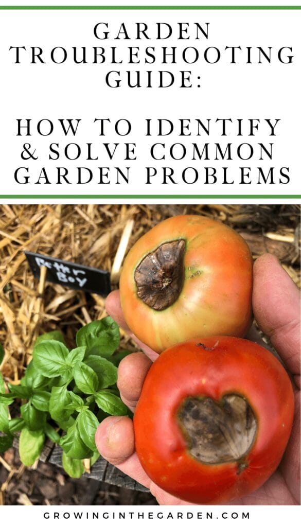 Garden Troubleshooting Guide: How to Identify & Solve Common Garden Problems