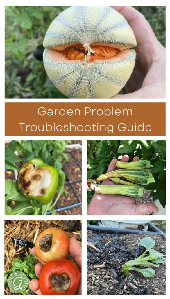 Garden Troubleshooting Guide: How to Identify & Solve Common Garden Problems