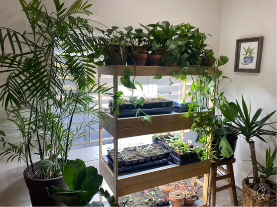 Gardener’s Supply Bamboo LED Grow Light Garden featured image