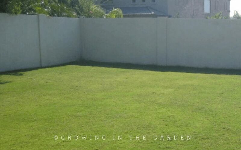 The best spot is where it is convenient for you - someplace you will see and walk by often. The back of the yard behind the shed may get the most sun, but if you don’t see your garden regularly, you might forget about it.