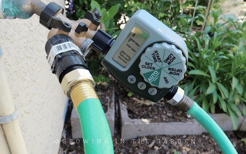 An automatic watering system and a hose for watering seedlings is best. Automatic watering can be simple, such as a battery-operated timer connected to your hose bib, with either a soaker hose or drip line going to the garden. Using a two-way splitter for a second hose is helpful for hand-watering new plantings and seeds.