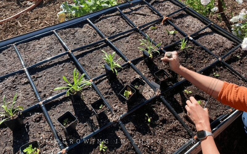 Read about the vegetables you would like to grow on Growinginthegarden.com, so you understand growing requirements, when to plant, and when to harvest.  