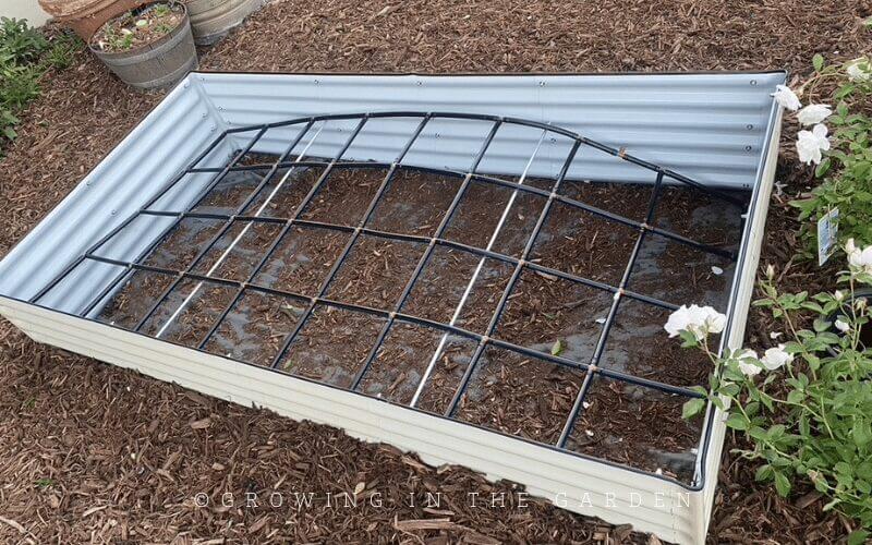 This article shares more information about how to water your garden correctly. I use watering grids from Garden in Minutes to water my raised beds. 