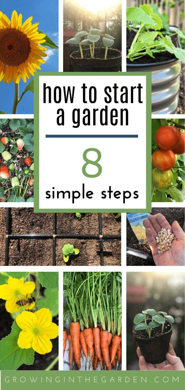 Gardening for Beginners: How to Start a Garden in 8 Simple Steps