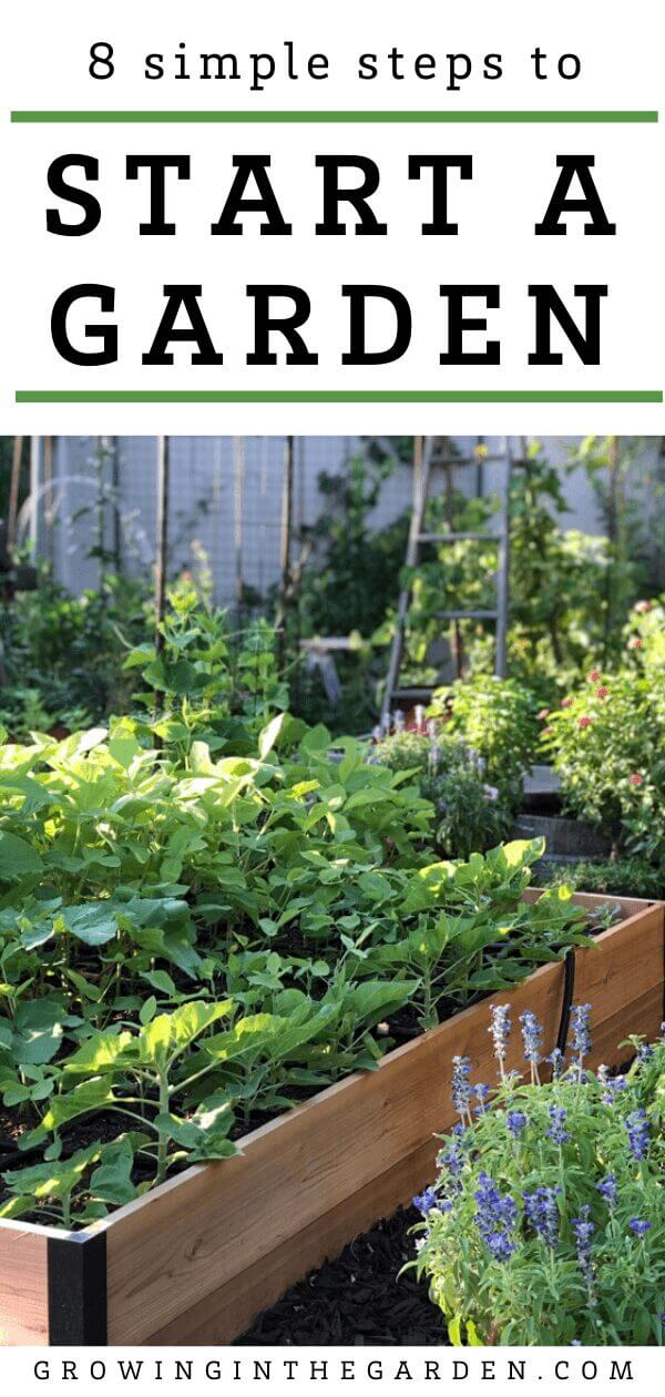 Gardening for Beginners: How to Start a Garden in 8 Simple Steps