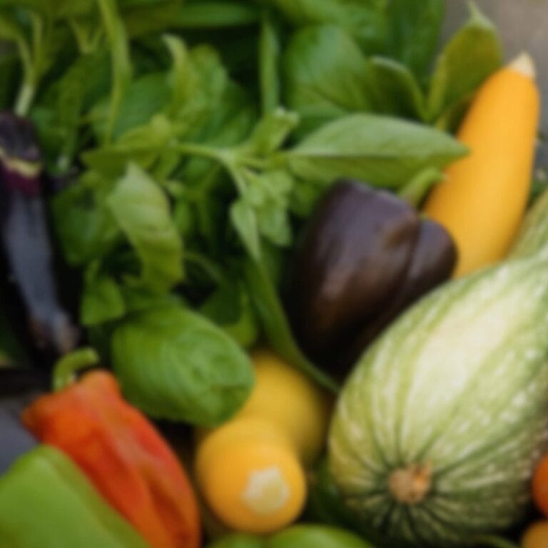 Gardening for Beginners Tile