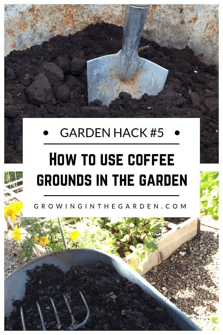 Gardening Hacks: 9 Simple Tips for the Garden #gardenhack #gardentips #howtogarden How to use coffee grounds in the garden