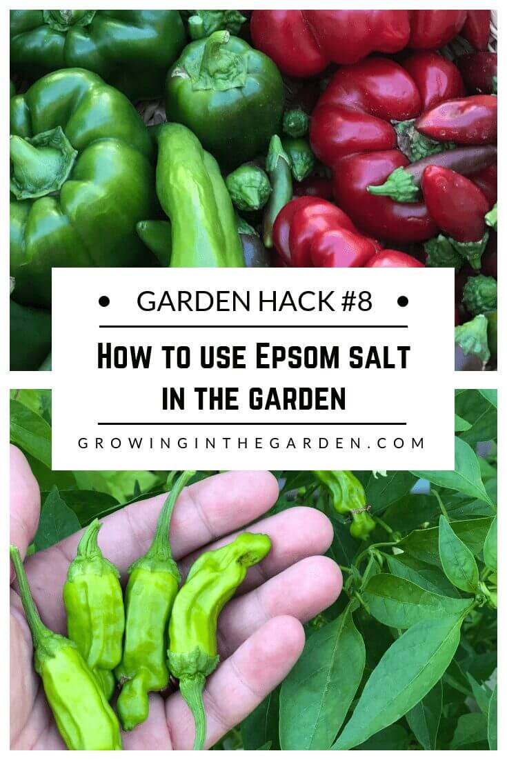 Gardening Hacks: 9 Simple Tips for the Garden #gardenhack #gardentips #howtogarden How to use Epsom salt in the garden