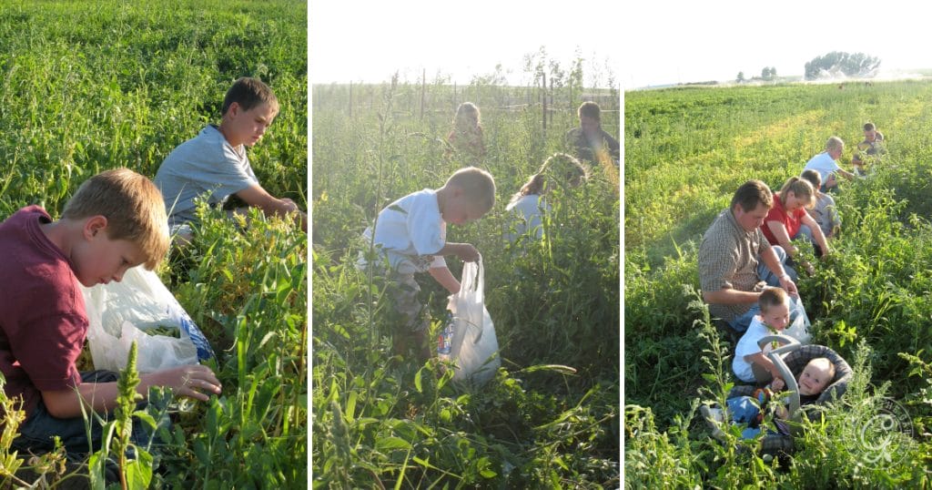 Working together in the garden helps teach valuable lessons