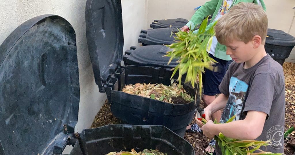 Gardening with Kids: 10 Tips for Growing Together