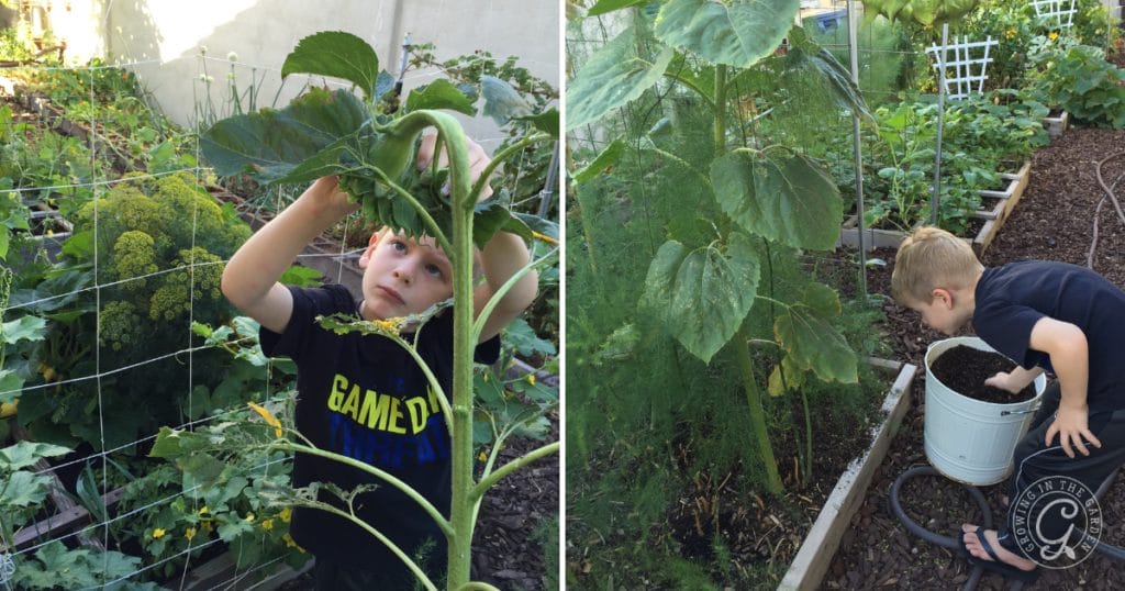 Gardening with Kids: 10 Tips for Growing Together