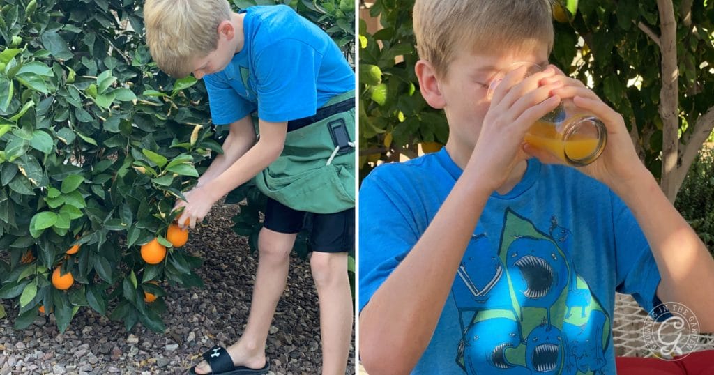 Gardening with Kids: 10 Tips for Growing Together