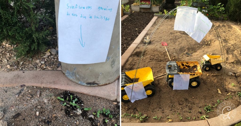 Gardening with Kids: 10 Tips for Growing Together