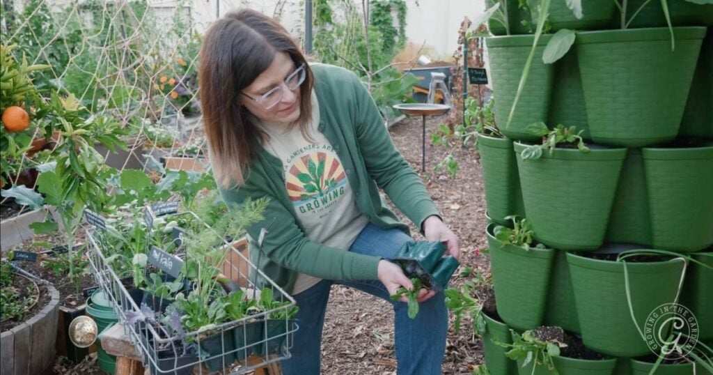 A woman wearing glasses tends to seedlings in a garden, carefully placing plants into green vertical planters. Various plants and gardening supplies surround her as she demonstrates how to grow in a GreenStalk.