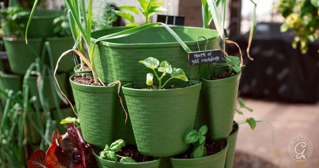 A vertical garden display with multiple green pots containing various herbs and plants, including a small sign labeled Herbs of all categories—a perfect setup for trying out greenstalk gardening tips and learning how to grow in a greenstalk.