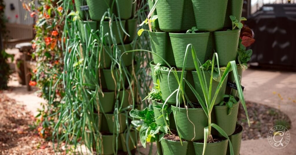 Vertical garden featuring stacked green pots full of leafy vegetables and herbs—perfect for discovering how to grow in a greenstalk and trying new greenstalk gardening tips outdoors.