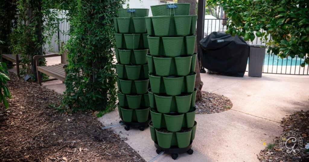 Two vertical stacks of green planting pots on wheels show a great example of greenstalk gardening tips, positioned on a paved garden path beside lush greenery, a bench, and a fenced pool area in the background.