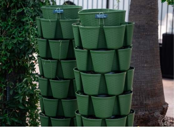 GreenStalk Vertical Planter featured image