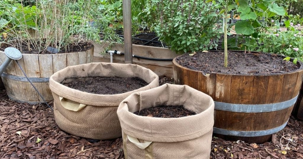 grow bags for potatoes (2)