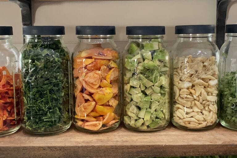 Guacamole in a Jar: Freeze-Dried Guacamole featured image