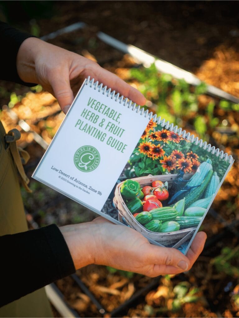 Vegetable, Herb, and Fruit Planting Guide for the Low Desert of Arizona