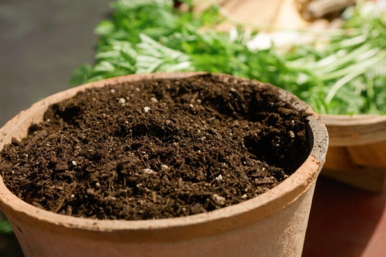 Guide to Container Sizes: Which Size Container Should I Use? featured image