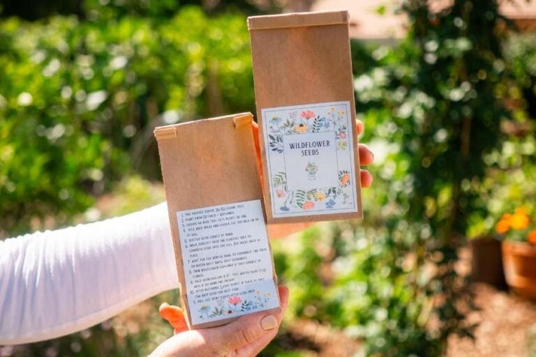 Holiday Neighbor Gift: Wildflower Seed Packets featured image