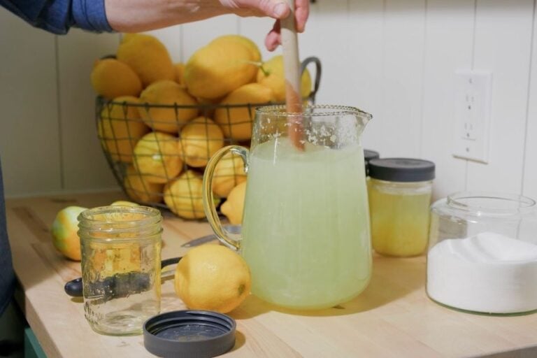 The Best Homemade Lemonade Recipe featured image