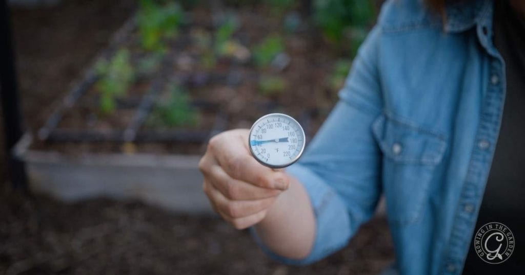 How to Measure Soil Temperature Before Planting