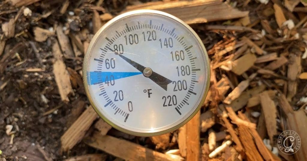 How and Why to Use Soil Temperature Guidelines for Planting