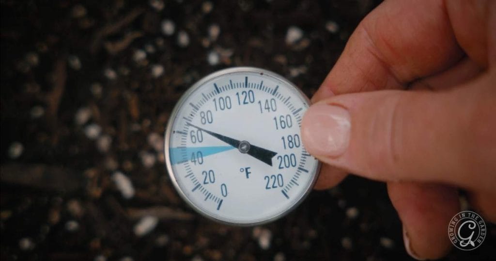 How and Why to Use Soil Temperature Guidelines for Planting