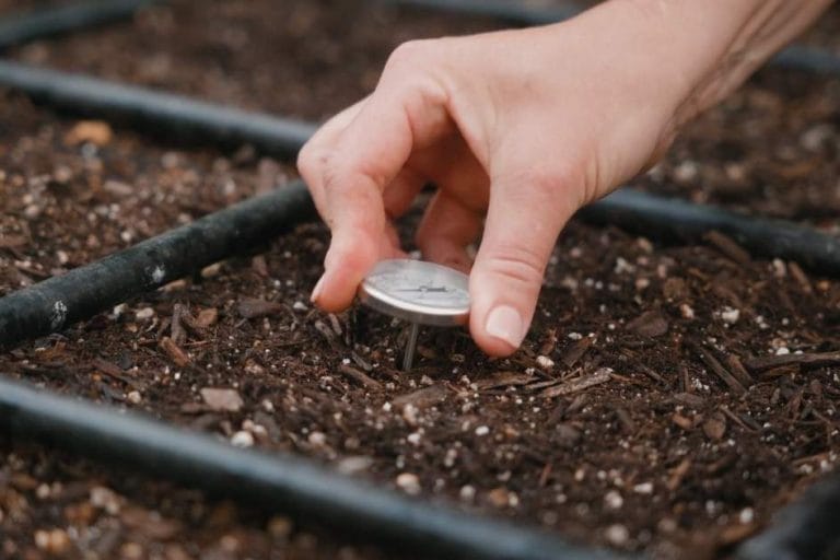 How to Measure Soil Temperature Before Planting featured image